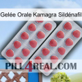Gelée Orale Kamagra Sildénafil 19